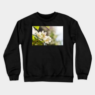 Sweet mock-orange (Philadelphus coronarius) flowers Crewneck Sweatshirt